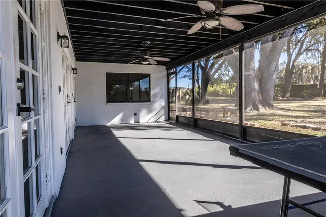 a view of a yard with a large tree