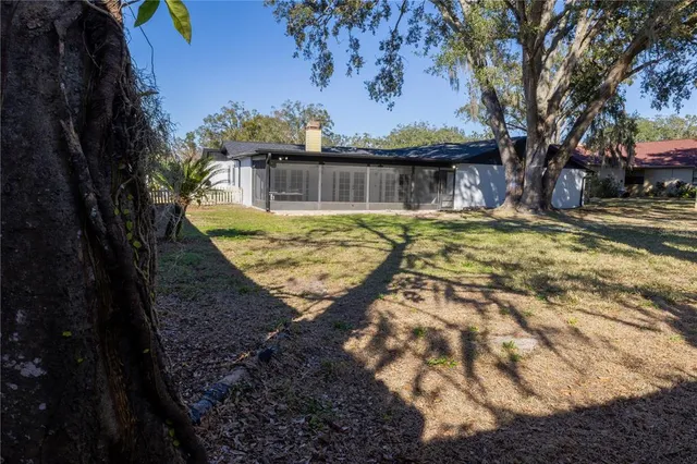a view of swimming pool with a tree