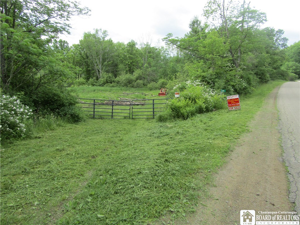 0 West River Road Portville, NY 14770 - Photo 1 of 1 Gallery Image 1
