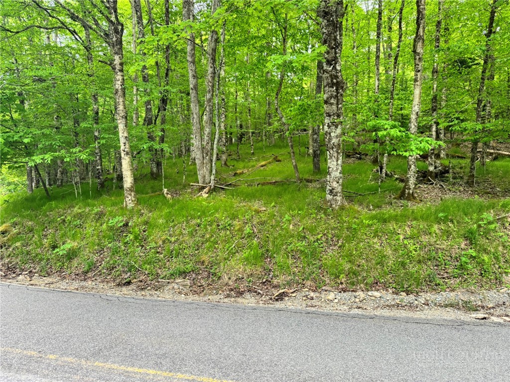 146 Hornbeam Road Beech Mountain, NC 28604 - Photo 1 of 14