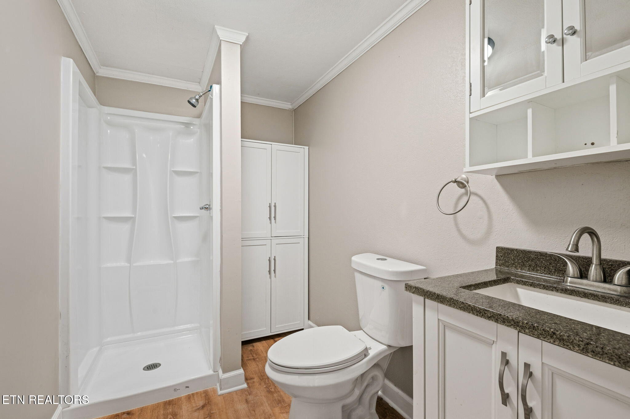 2022 Bessie Slaton Road Dandridge, TN 37725 - Photo 26 of 41 Basement Bathroom