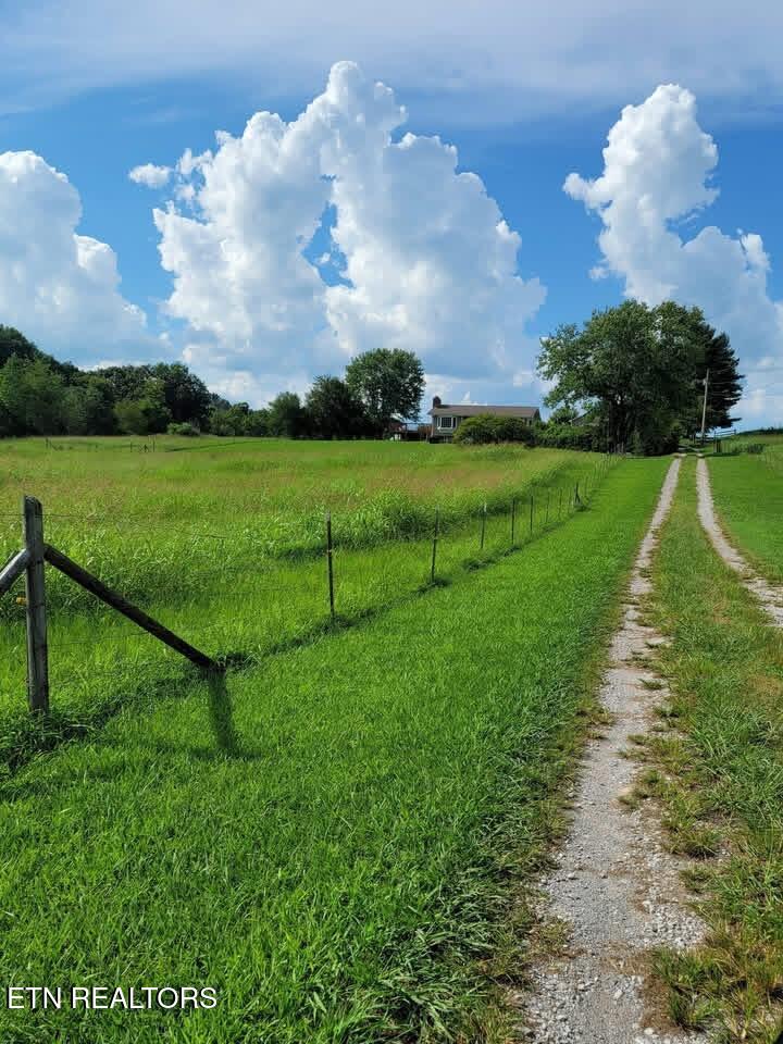 2022 Bessie Slaton Road Dandridge, TN 37725 - Photo 36 of 41 Driveway to house