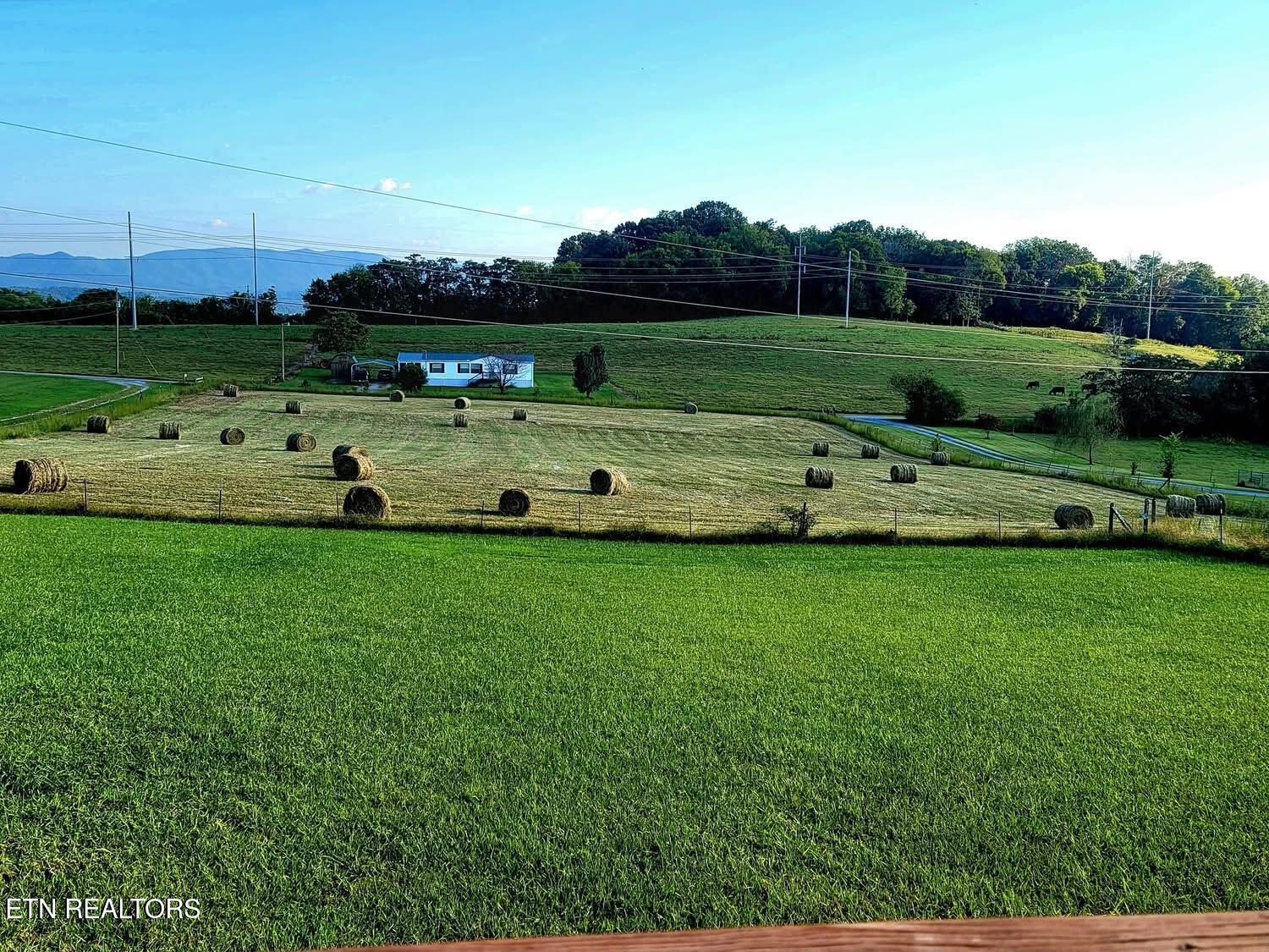 2022 Bessie Slaton Road Dandridge, TN 37725 - Photo 39 of 41 Mowed pasture