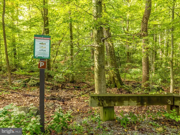 a view of a pathway both side of building