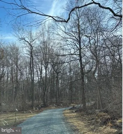 a view of a backyard of the house