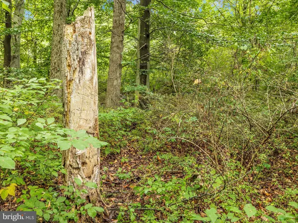 a sign on the side of a road