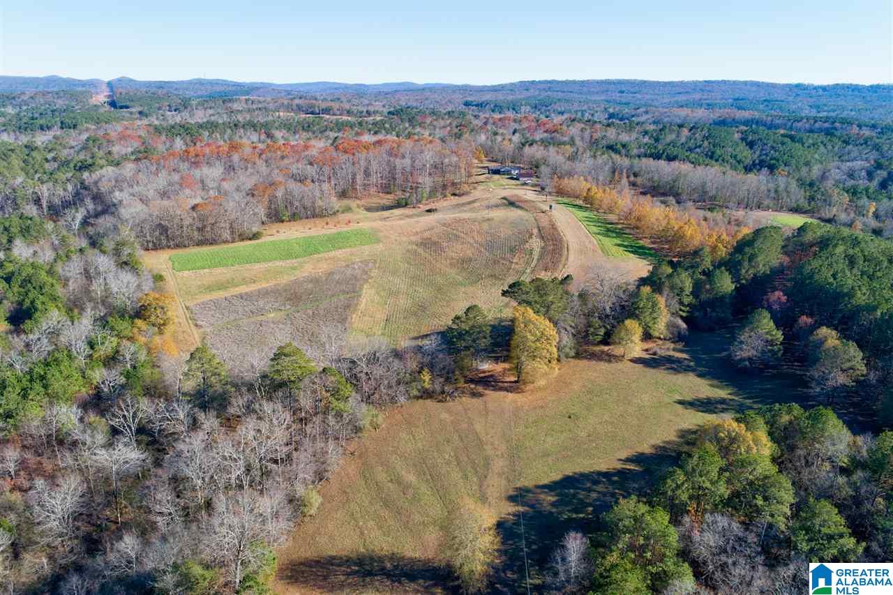 7235 Comer Dairy Road Morris, AL 35116 - Photo 35 of 37