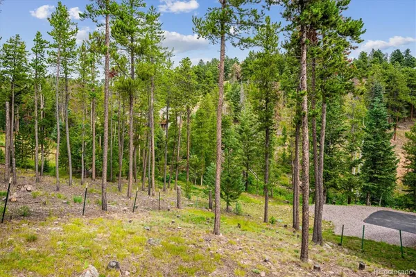 $1,150,000 | 34155 Grouse Lane, Evergreen, CO 80439