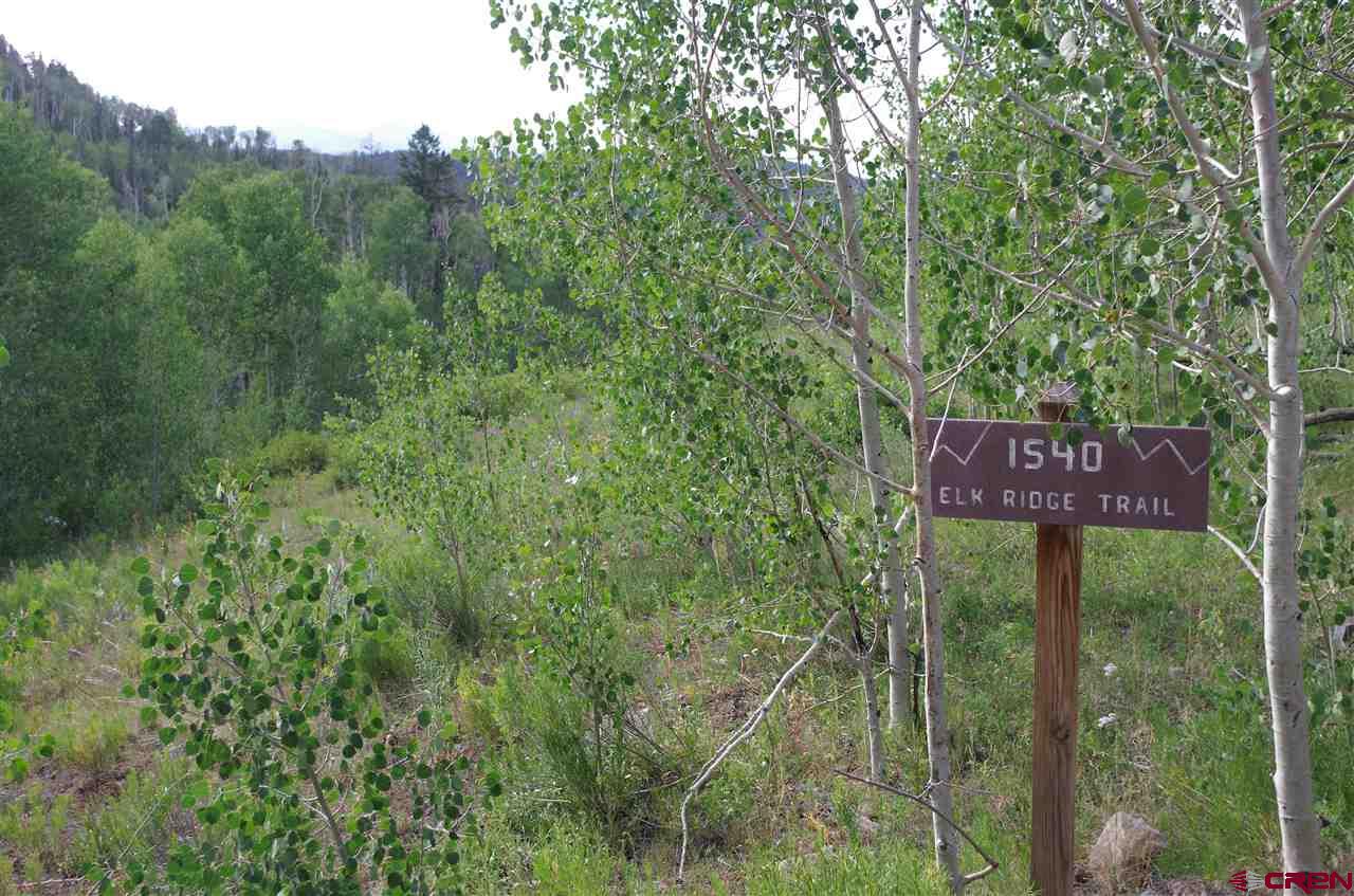 1540 Elk Ridge Trail Ridgway, CO 81432 - Photo 3 of 10 Gallery Image 3