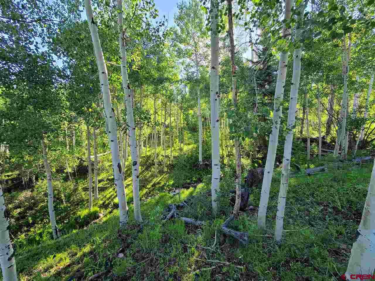 1540 Elk Ridge Trail Ridgway, CO 81432 - Photo 4 of 10 Gallery Image 4