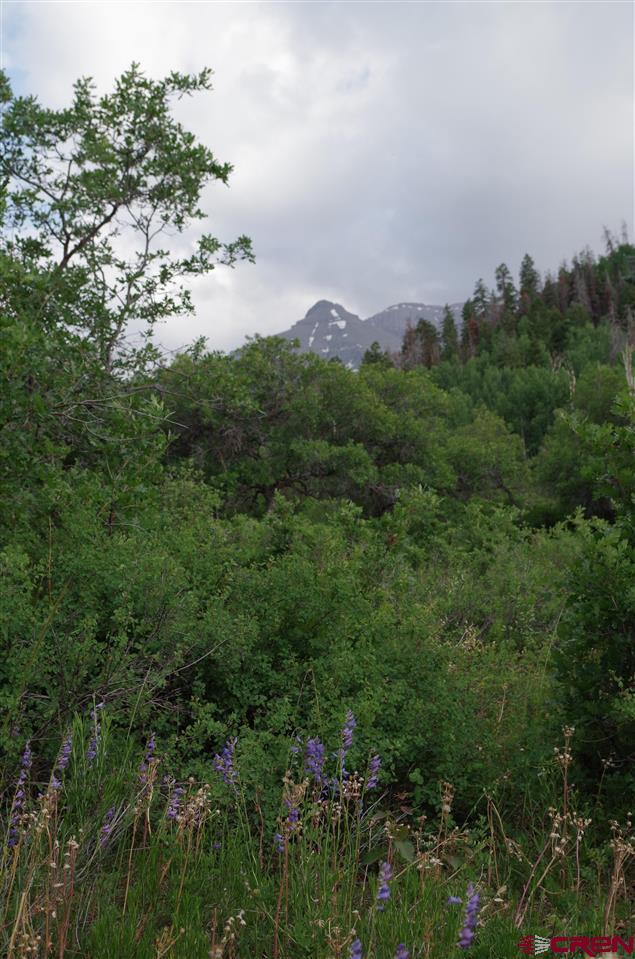 1540 Elk Ridge Trail Ridgway, CO 81432 - Photo 5 of 10 Gallery Image 5