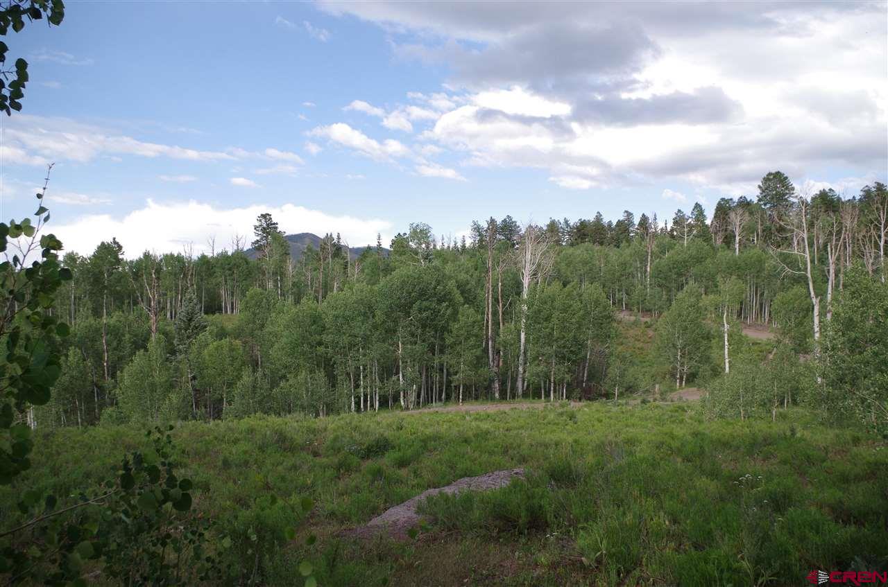 1540 Elk Ridge Trail Ridgway, CO 81432 - Photo 6 of 10 Gallery Image 6