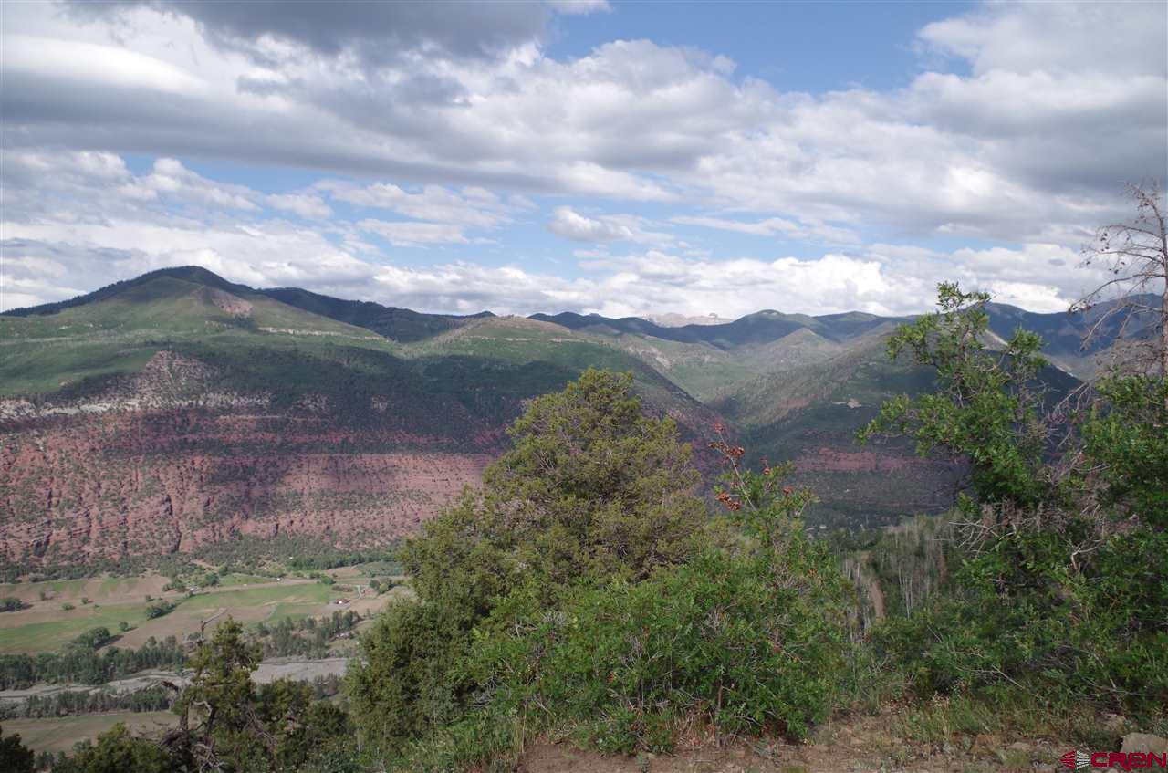 1540 Elk Ridge Trail Ridgway, CO 81432 - Photo 7 of 10 Gallery Image 7