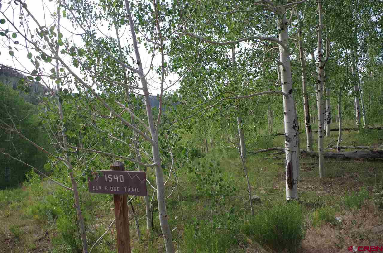 1540 Elk Ridge Trail Ridgway, CO 81432 - Photo 10 of 10 Gallery Image 10
