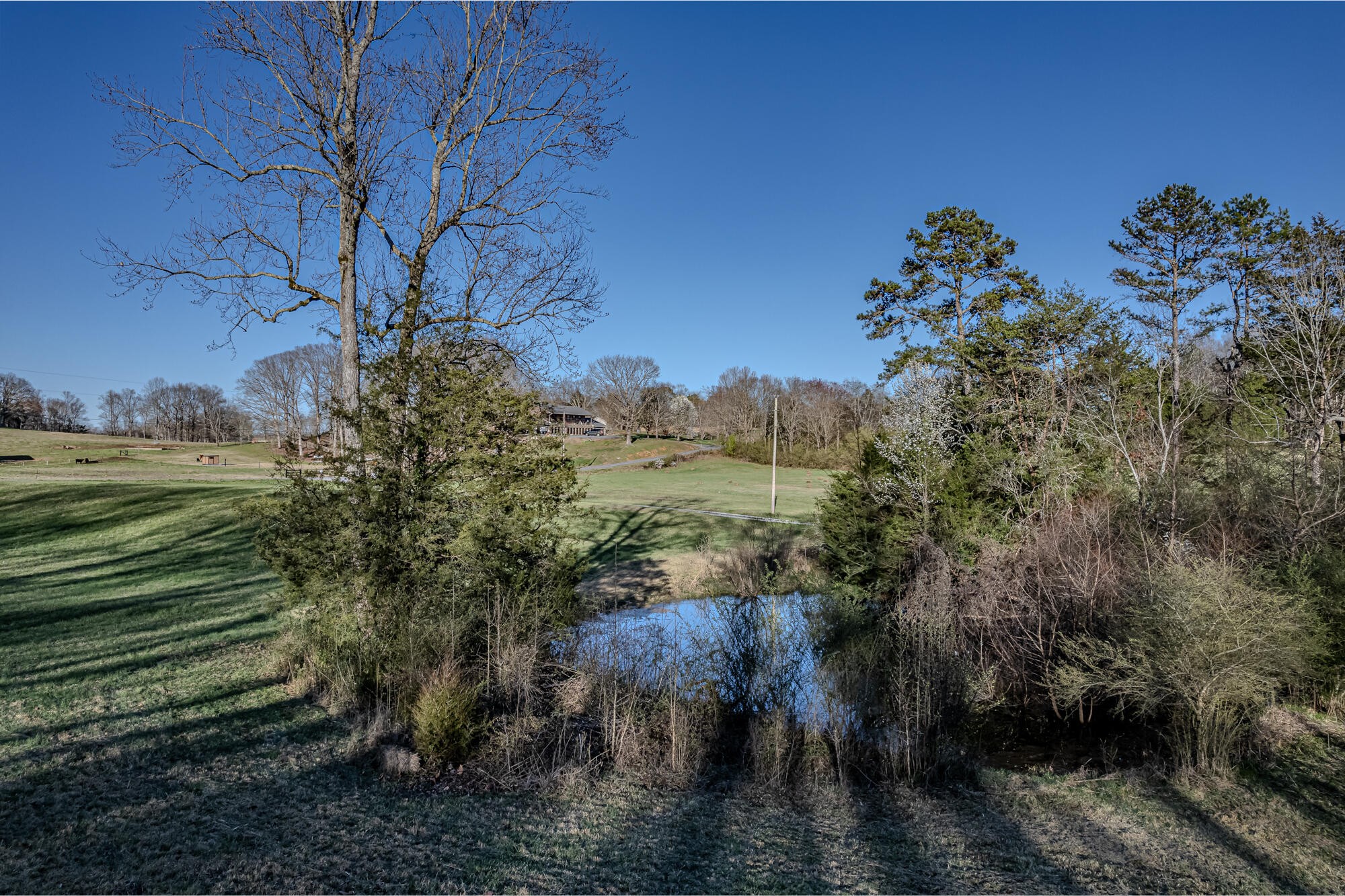 280 County Road 728 Riceville, TN 37370 - Photo 3 of 53 Gallery Image 3