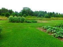 270 Saco Road Columbia Falls, ME 04623 - Photo 13 of 22 Yard/Garden.