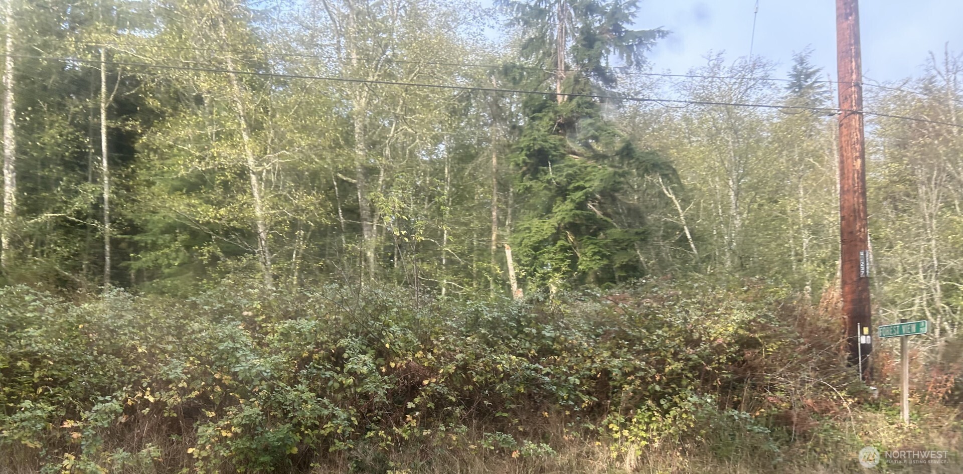 0 Forest View Lane Greenbank, WA 98253 - Photo 3 of 6 a bathroom with a shower