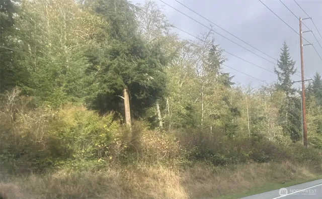 $225,000 | 0 Forest View Lane, Greenbank, WA 98253