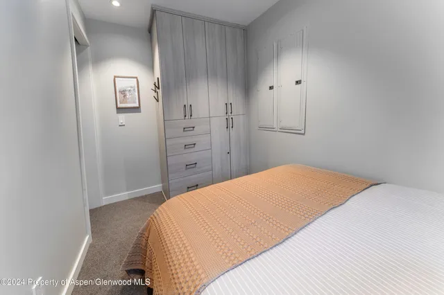 a bedroom with a bed and closet