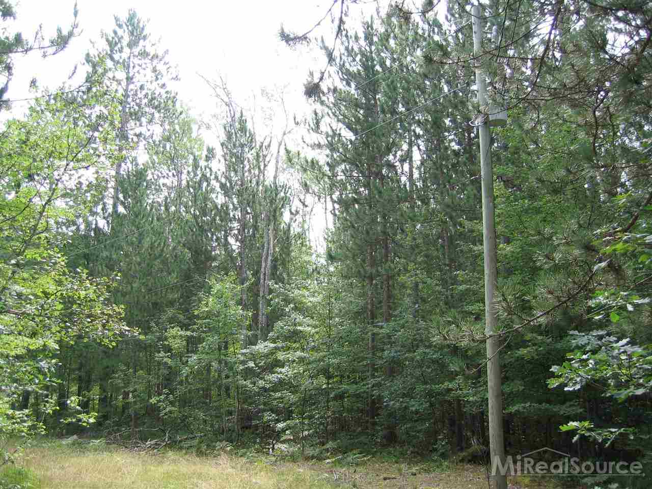 0 Meridian Line Road, Unit PARCEL 3 Johannesburg, MI 49751 - Photo 4 of 4