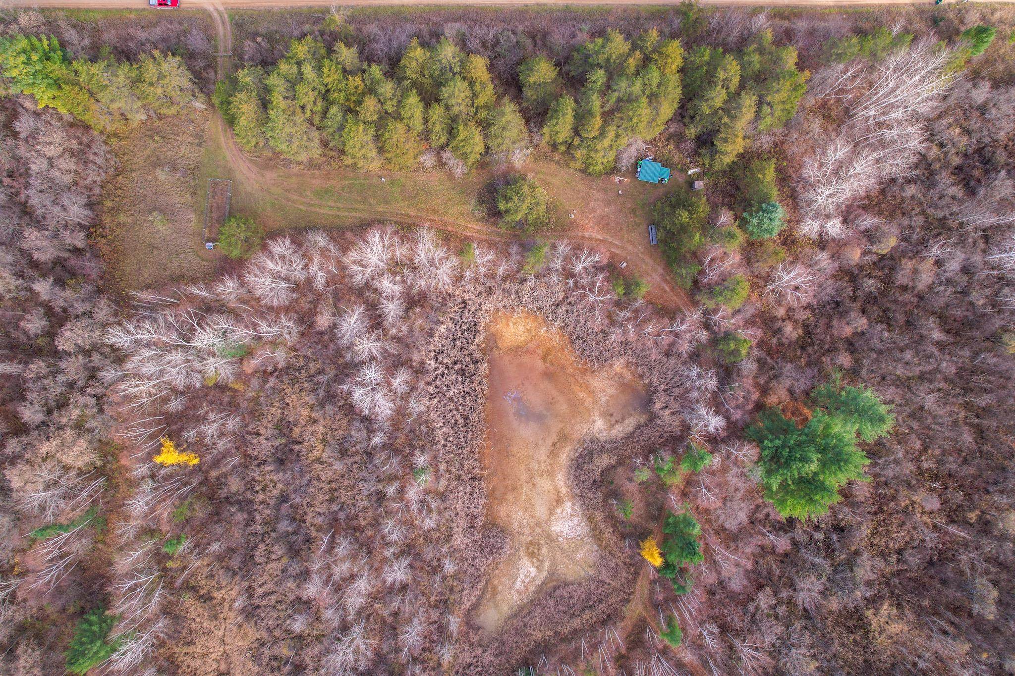 40-acres Hilts Road Gladwin, MI 48624 - Photo 10 of 37