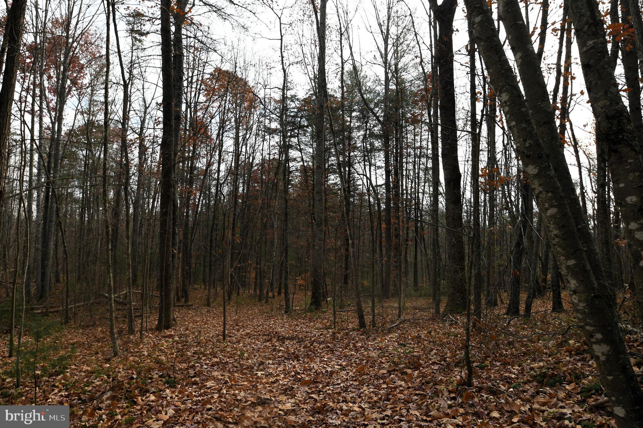Middle Of, Unit WAY Castleton, VA 22716 - Photo 13 of 17 Gallery Image 13