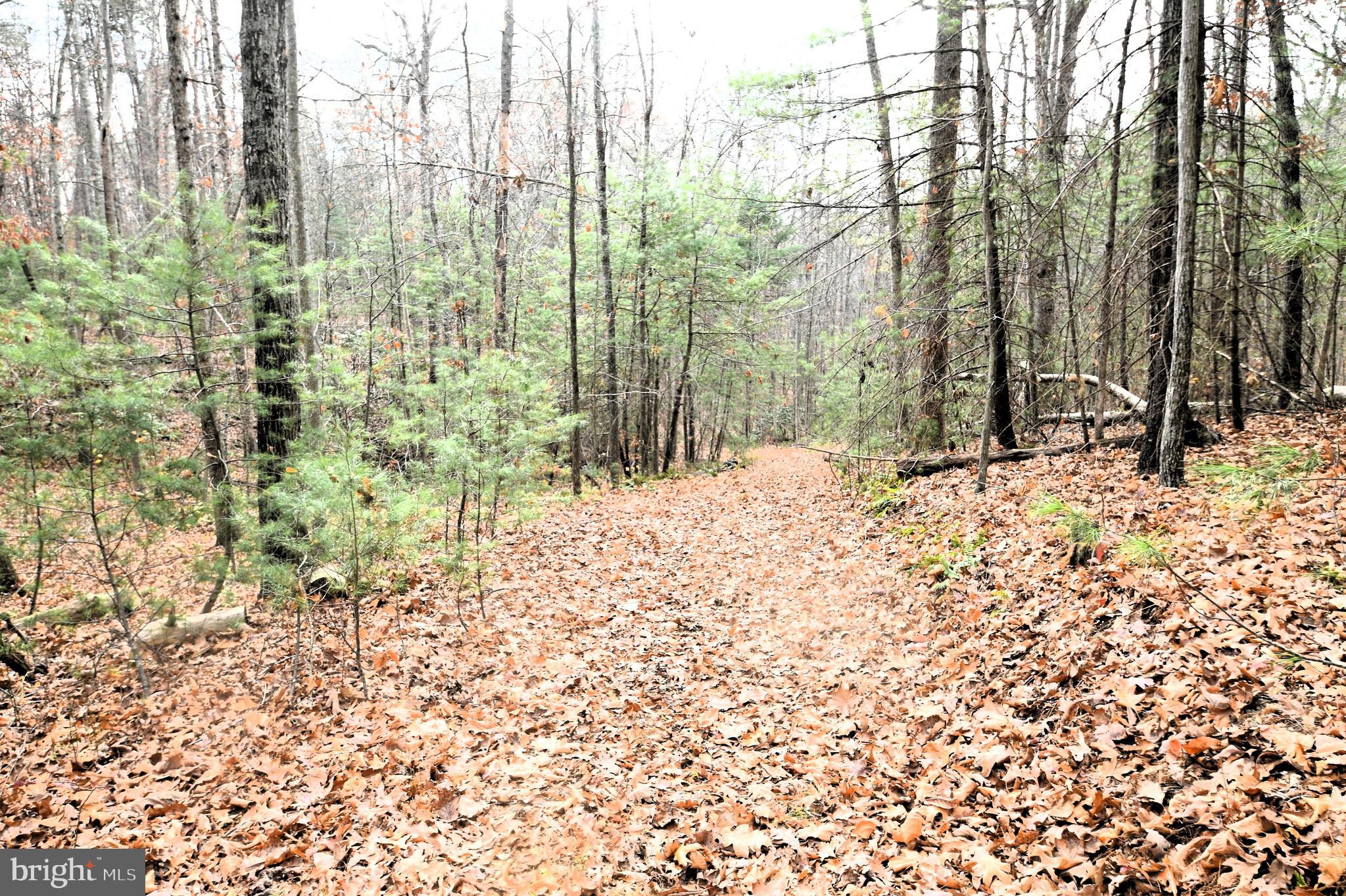 Middle Of, Unit WAY Castleton, VA 22716 - Photo 2 of 17 Gallery Image 2