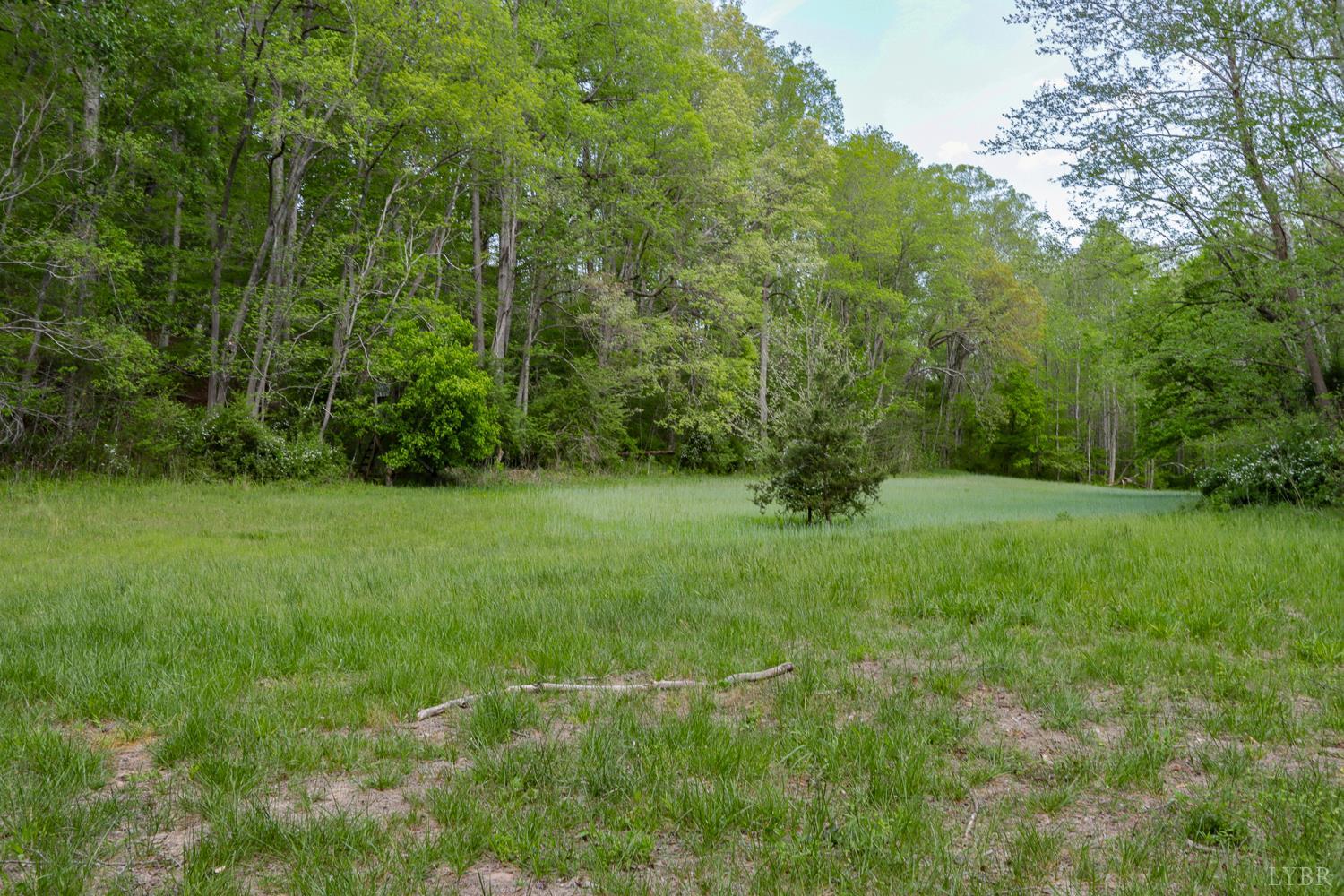 102 Slow Water Court Sandy Level, VA 24161 - Photo 44 of 66 a view of an outdoor space and a yard