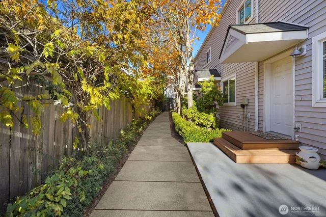a view of path along with trees