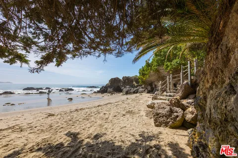 a view of a dry yard with trees