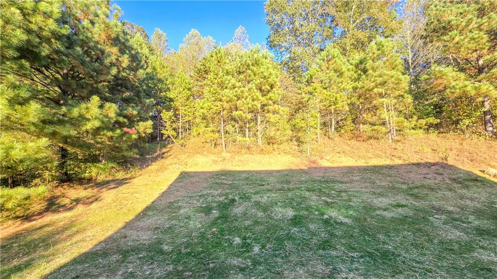 49 Sweetgum Street Talmo, GA 30575 - Photo 11 of 36 a view of ocean