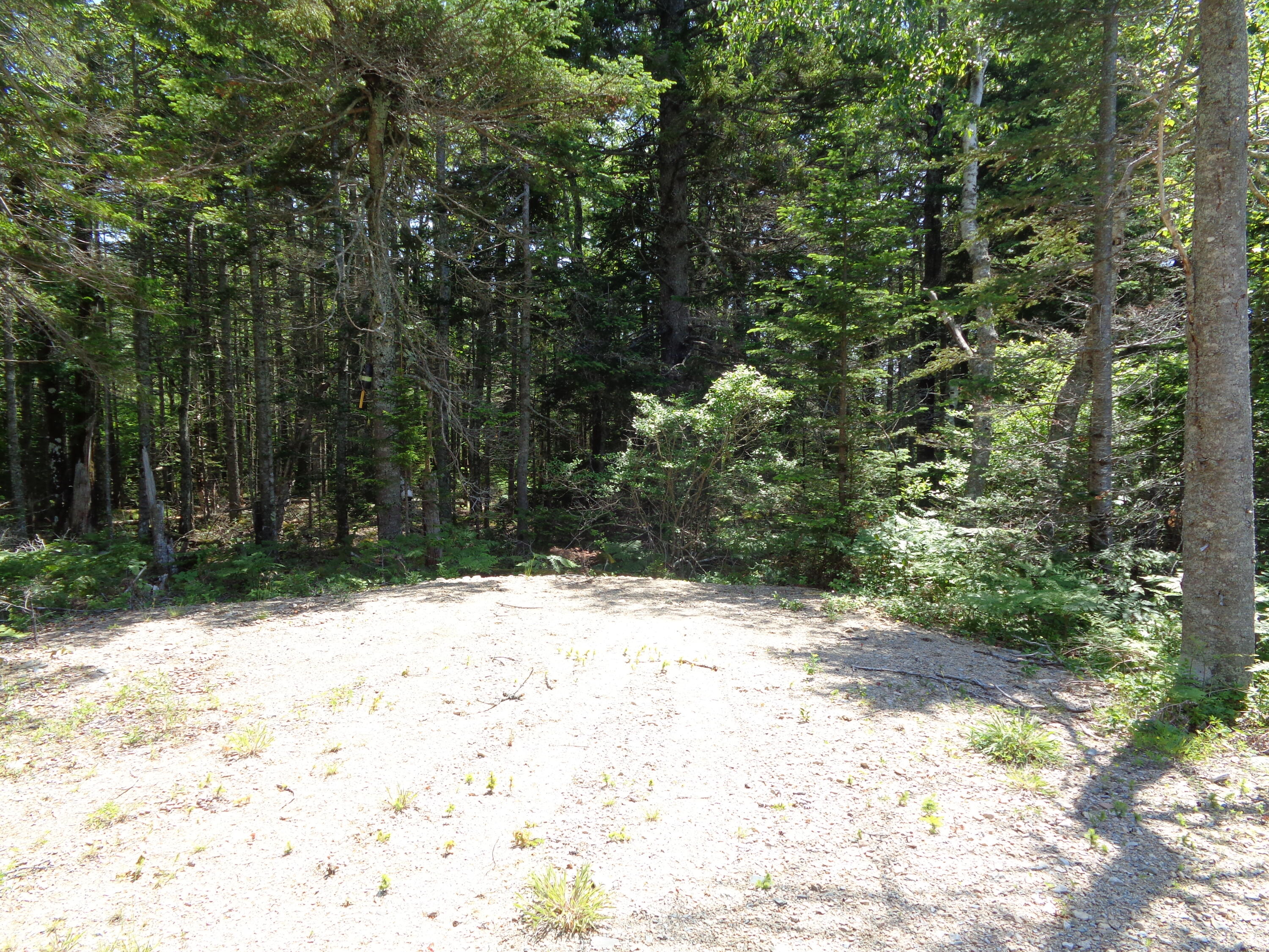 143 B Rocky Gulch Road Steuben, ME 04680 - Photo 14 of 30 Turn around