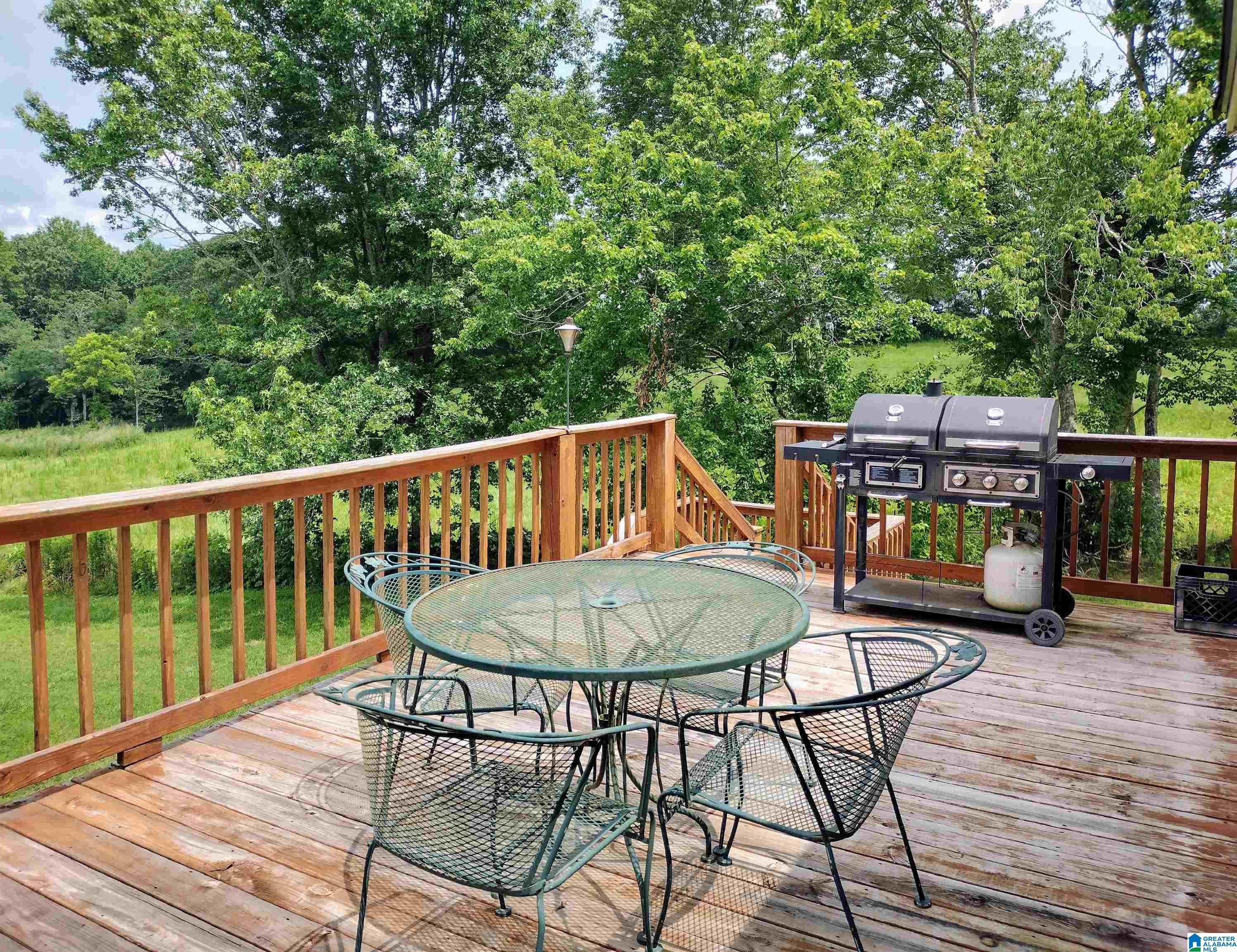 207 County Road 491 Wedowee, AL 36278 - Photo 15 of 19