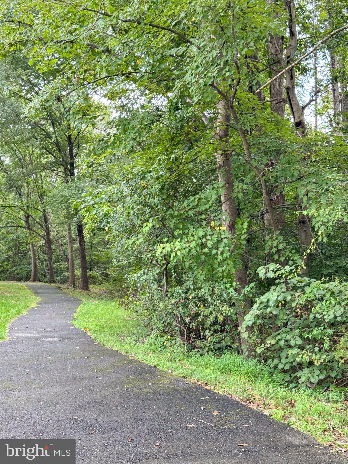 8111 Squirrel Run Road Springfield, VA 22152 - Photo 49 of 82 Gallery Image 49