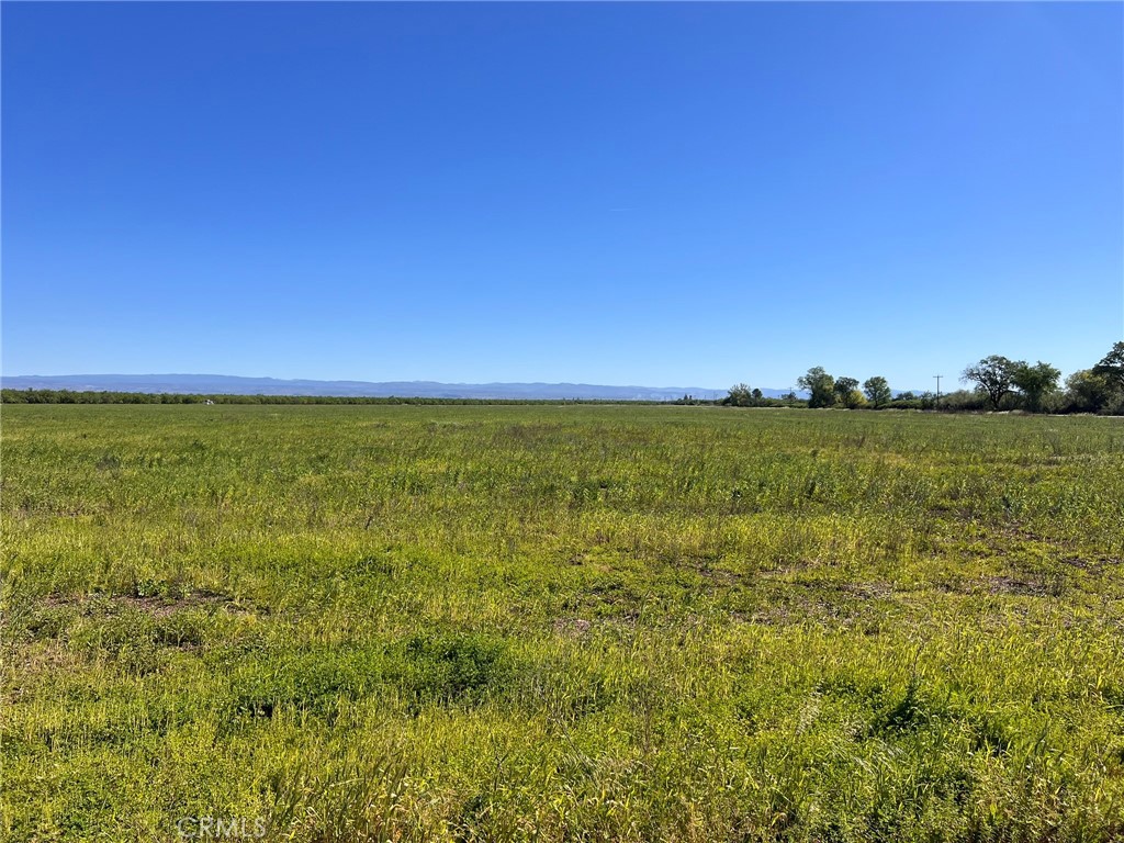 5000 Ord Ferry Chico, CA 95928 - Photo 16 of 22 a view of an ocean from a yard