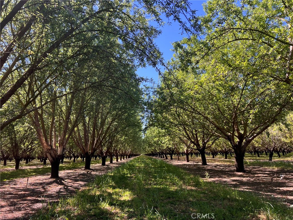 5000 Ord Ferry Chico, CA 95928 - Photo 17 of 22 a view of a park with large trees