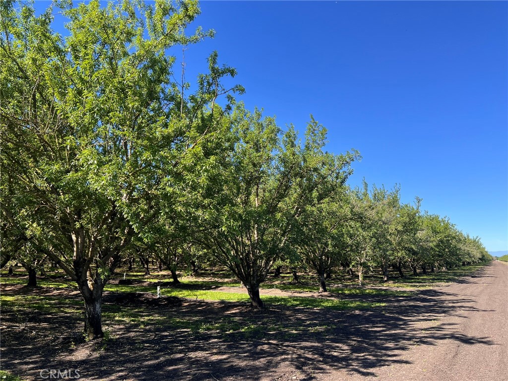 5000 Ord Ferry Chico, CA 95928 - Photo 2 of 22 a view of a yard with a tree