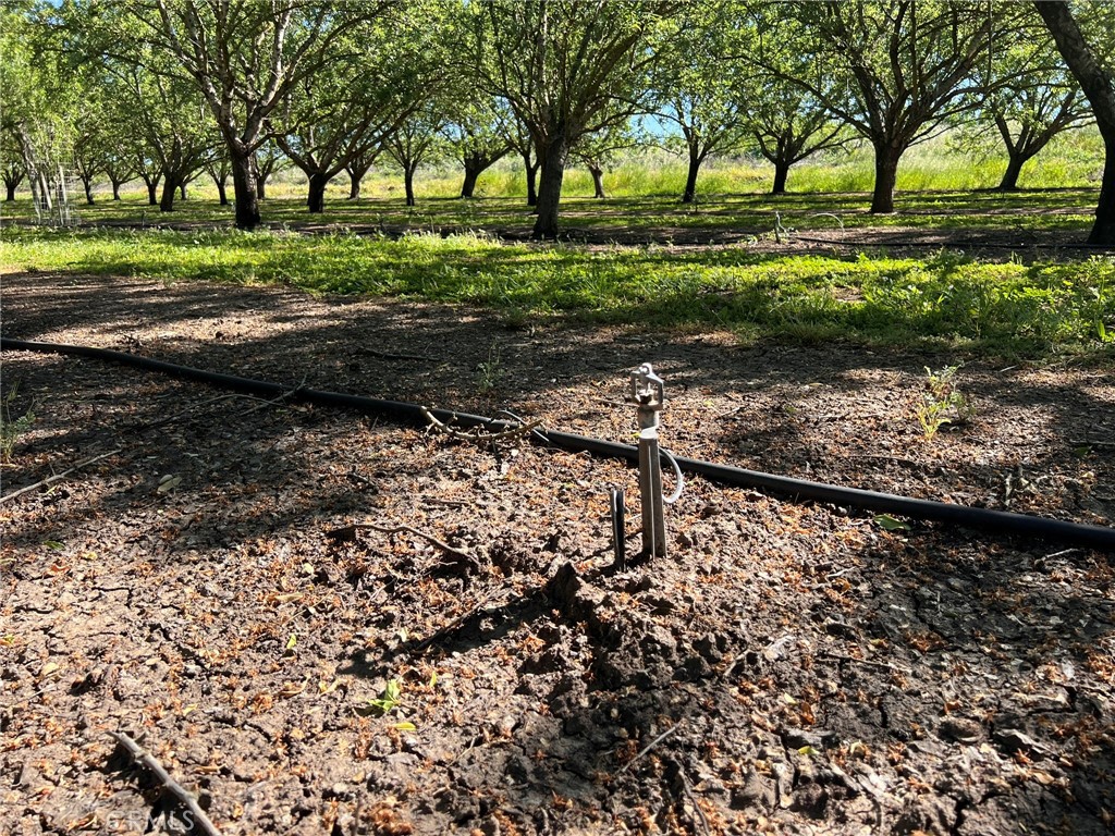 5000 Ord Ferry Chico, CA 95928 - Photo 3 of 22 a view of a yard with plants and trees