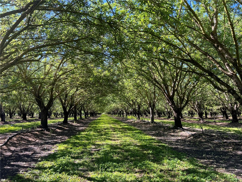 5000 Ord Ferry Chico, CA 95928 - Photo 5 of 22 a view of park space