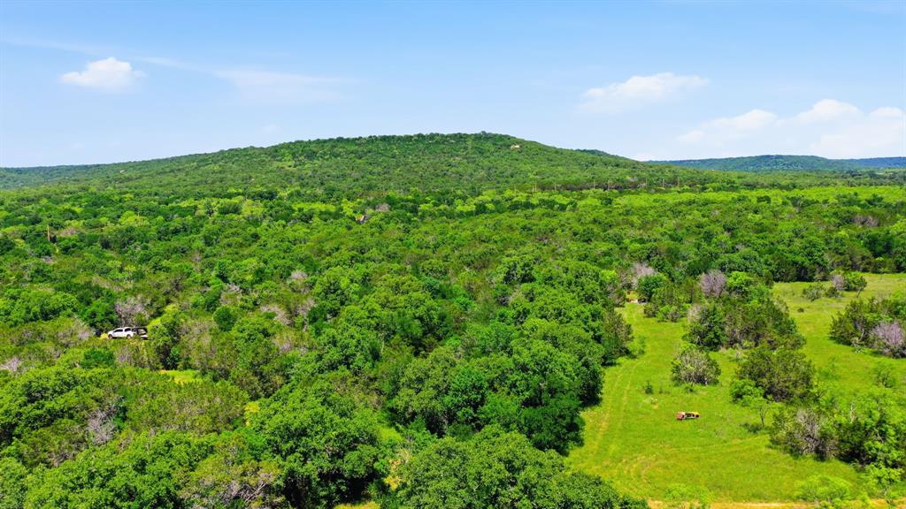 4320 Dobbs Valley Road Millsap, TX 76066 - Photo 36 of 40 a view of a big yard with plants and large trees
