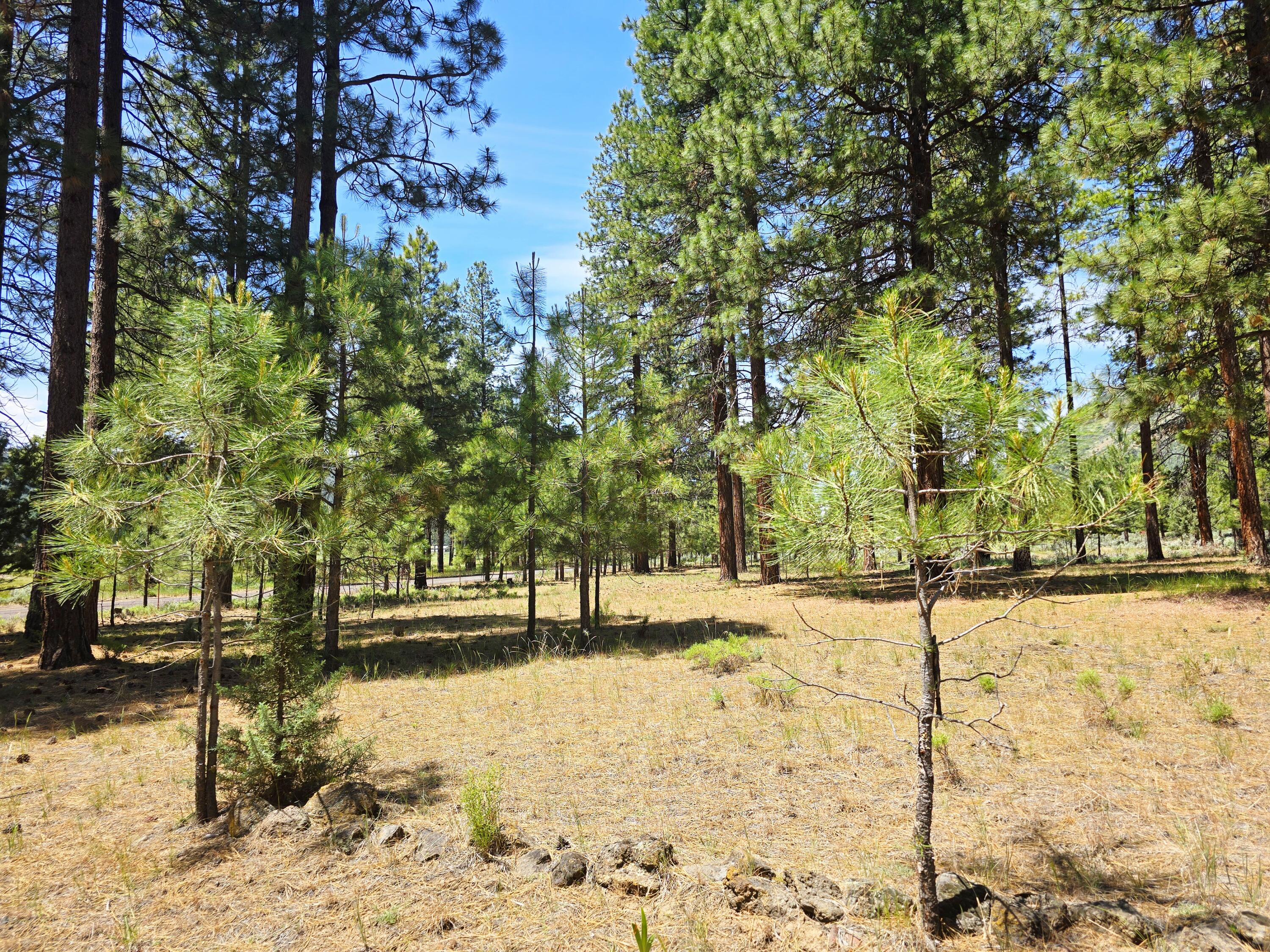 10211 Old Fort Road Klamath Falls, OR 97601 - Photo 60 of 79 Property