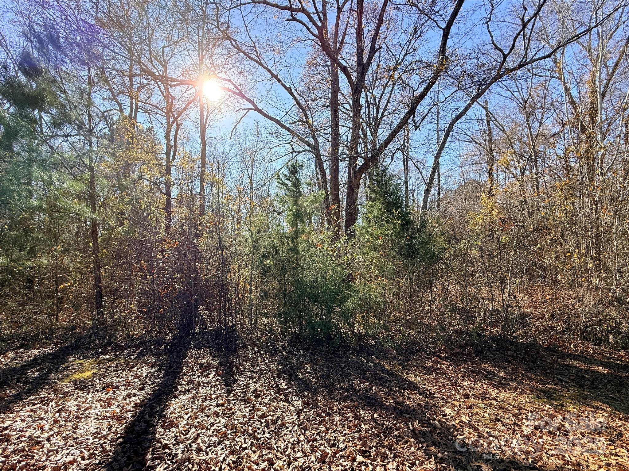 Lot 24 Avalon Lane, Unit 24 Lancaster, SC 29720 - Photo 2 of 3 a view of a yard covered with trees