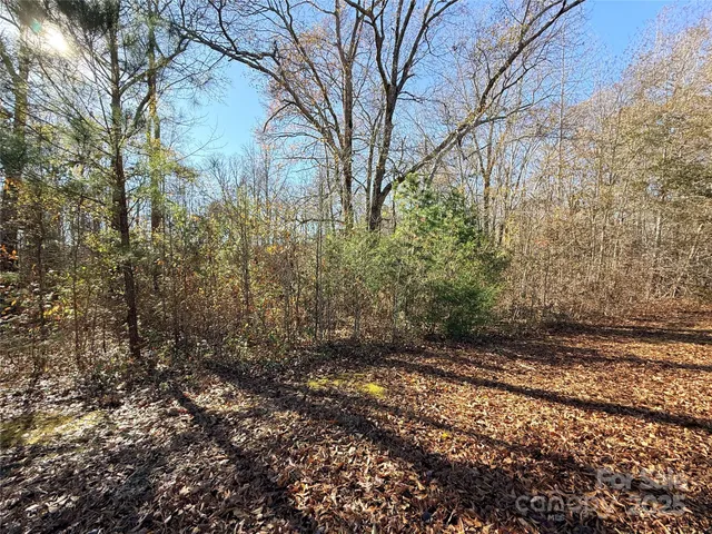 a view of a yard with plants and trees