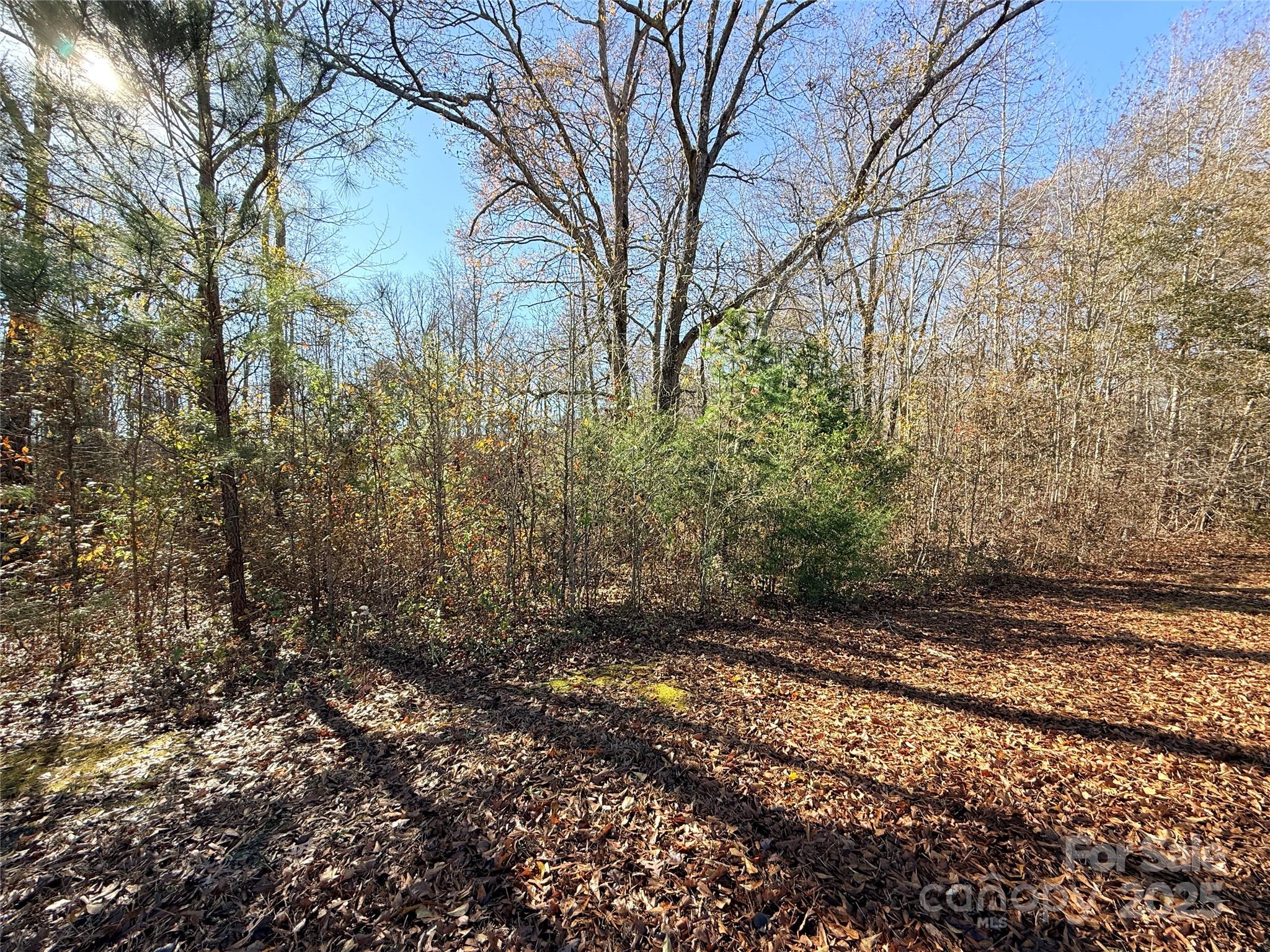 Lot 24 Avalon Lane, Unit 24 Lancaster, SC 29720 - Photo 3 of 3 a view of a yard with plants and trees