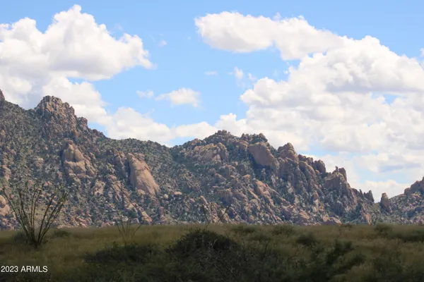 a view of a house with a yard and a forest