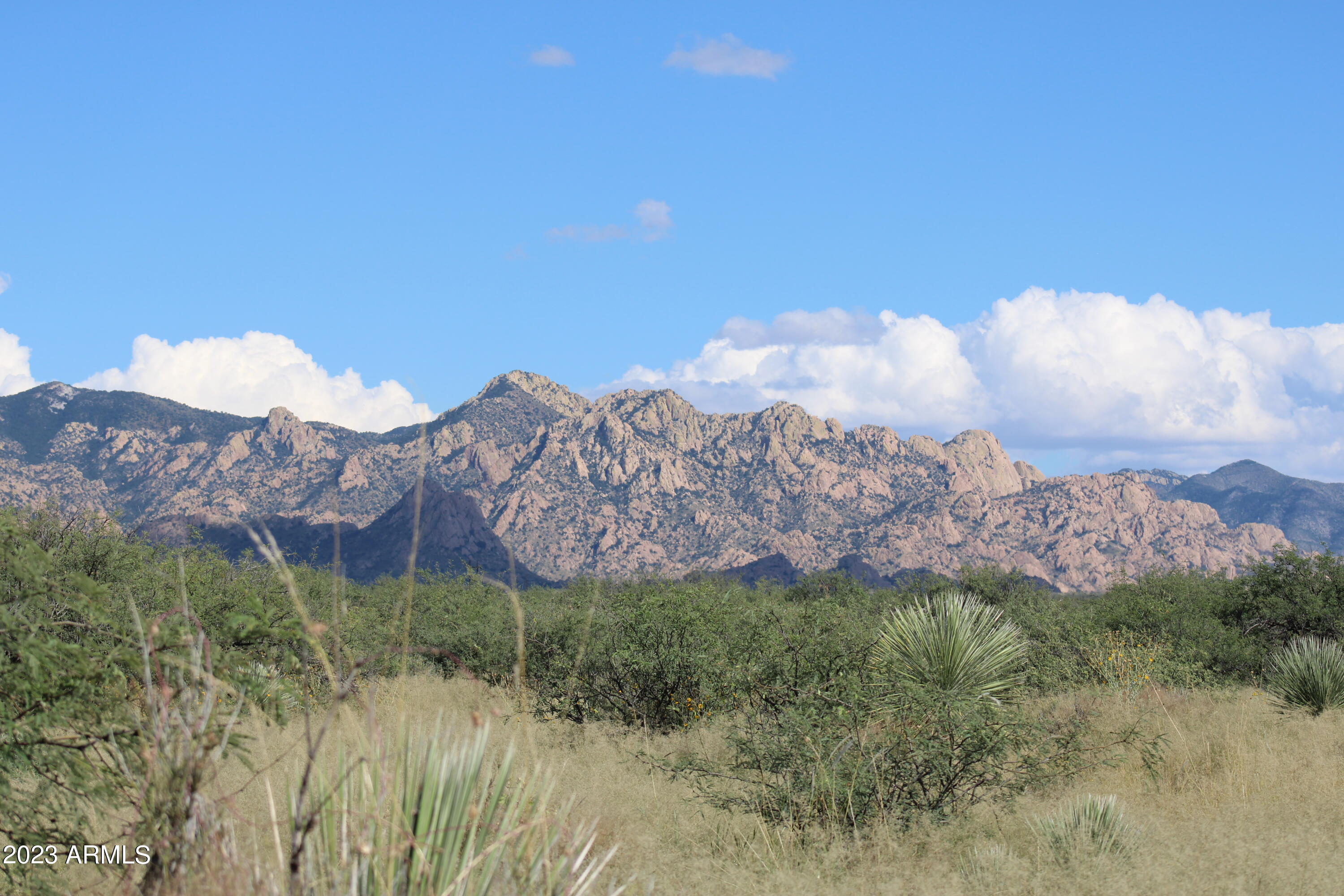 Lot 54 South Kino Road, Unit LOT 54 St. David, AZ 85630 - Photo 6 of 6 a view of a house with a yard and a forest