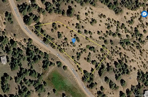 view of a plant in a plant