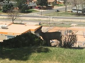 1090 Fontmore Road, Unit D Colorado Springs, CO 80904 - Photo 20 of 21