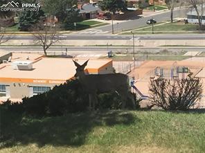 1090 Fontmore Road, Unit D Colorado Springs, CO 80904 - Photo 21 of 21