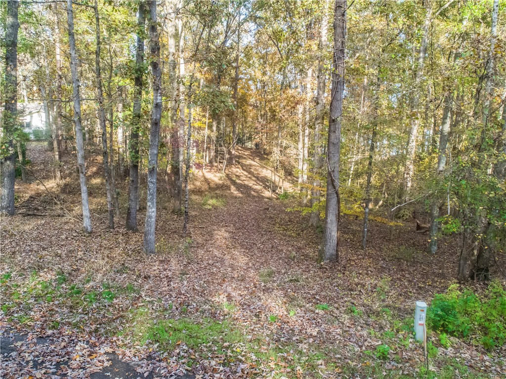 Lot 32 Creek Road Fair Play, SC 29643 - Photo 12 of 12 Gallery Image 12